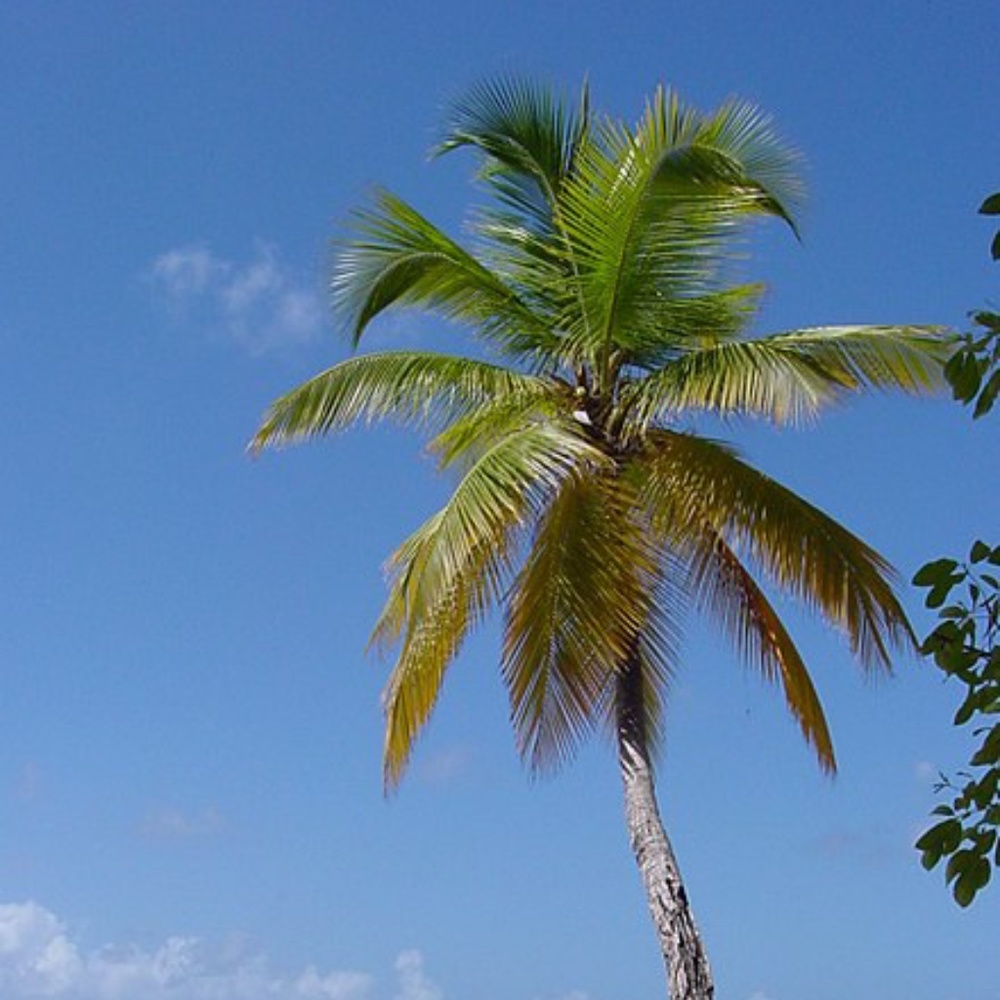 Meet your Posher, Claire